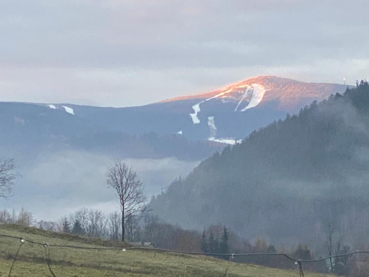Domki Pod Lasem - Domek Brzozowy Stronie Śląskie Buitenkant foto