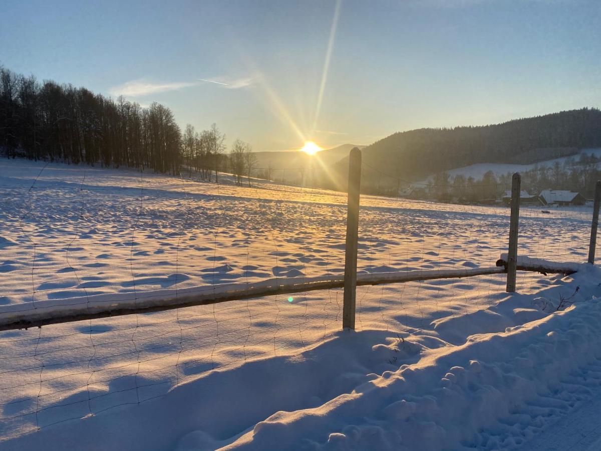 Domki Pod Lasem - Domek Brzozowy Stronie Śląskie Buitenkant foto