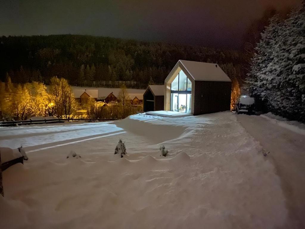 Domki Pod Lasem - Domek Brzozowy Stronie Śląskie Buitenkant foto