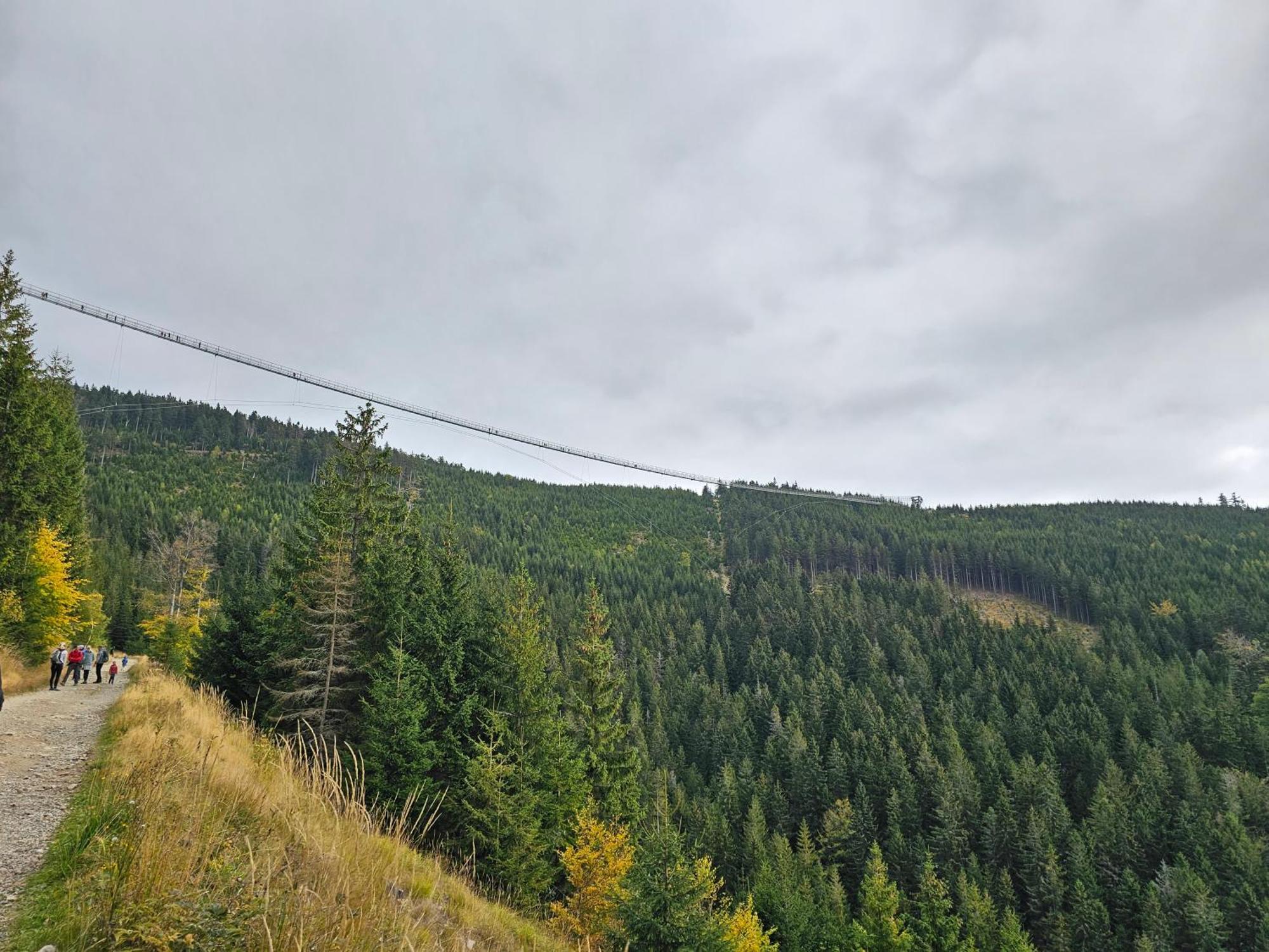 Domki Pod Lasem - Domek Brzozowy Stronie Śląskie Buitenkant foto