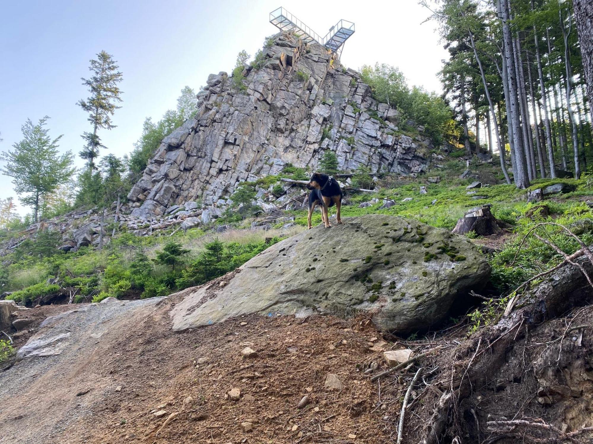 Domki Pod Lasem - Domek Brzozowy Stronie Śląskie Buitenkant foto
